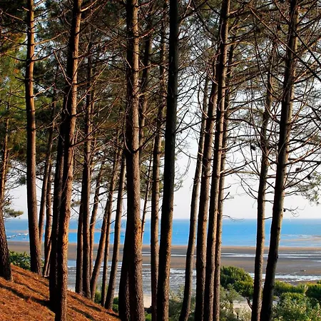 Lägenhet Beau T2 Avec Terrasse Sud, Proche Bassin, Commerces Et Activites, A - Fr-1-420-139 Arcachon