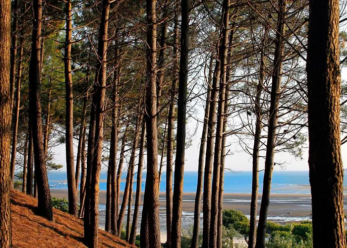 Διαμέρισμα Beau T2 Avec Terrasse Sud, Proche Bassin, Commerces Et Activites, A - Fr-1-420-139 Αρασόν