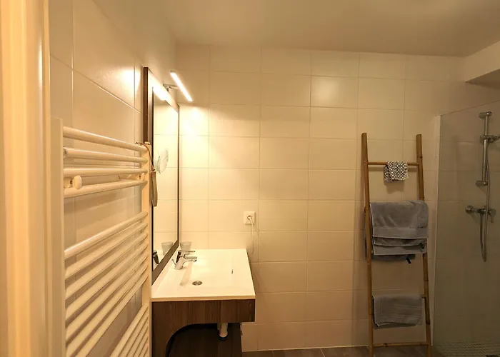 Beau T2 Avec Terrasse Sud, Proche Bassin, Commerces Et Activites, A - Fr-1-420-139 * Αρασόν